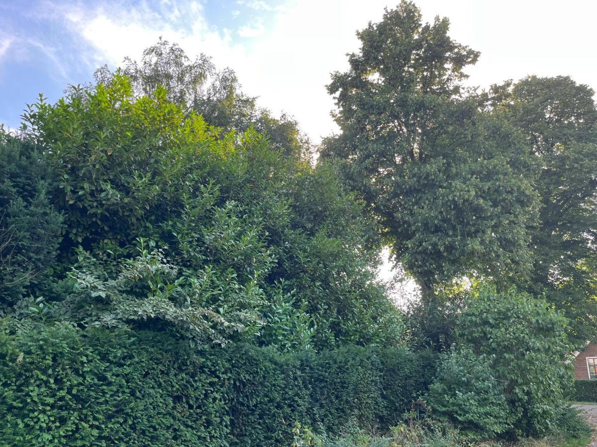 Zwols Groen Zwolle  Exteriér fotografie